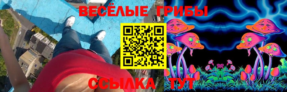 Галлюциногенные грибы ЛСД  наркота  Белая Калитва  Вход с VPN 