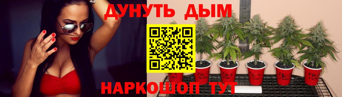 Белая Калитва  Каннабис марихуана  Конопля White Widow  Вход с VPN  МАРИХУАНА Amnesia  МАРИХУАНА VHQ 